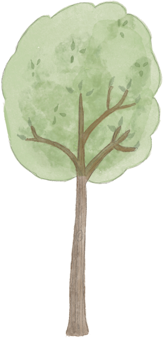 A floresta